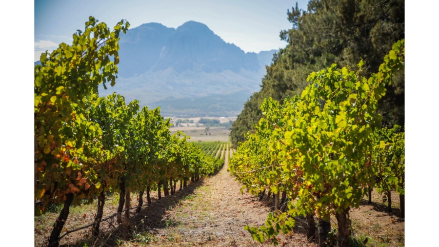 Commercial Property for Sale in Wolseley Western Cape